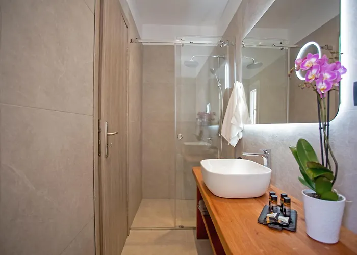 Mykonos Windmills View Apartament